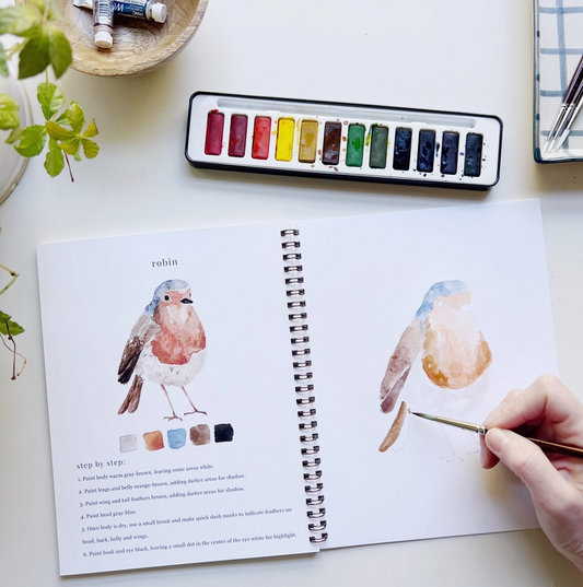 Birds Watercolor Kit