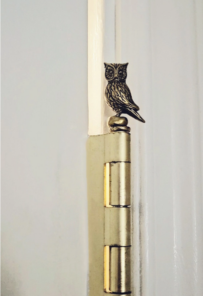 Owl Hinge Head