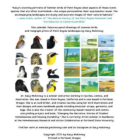 A Dozen Delightful and Relatively Common Birds to Look for in Point Reyes in 2026