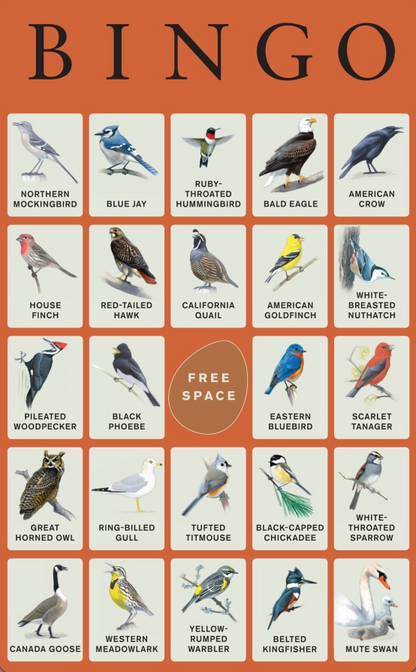 Sibley Backyard Birding Bingo