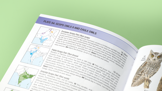 Birds of India: Pakistan, Nepal, Bangladesh, Bhutan, Sri Lanka, and the Maldives [Third Edition]