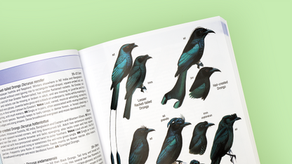Birds of India: Pakistan, Nepal, Bangladesh, Bhutan, Sri Lanka, and the Maldives [Third Edition]