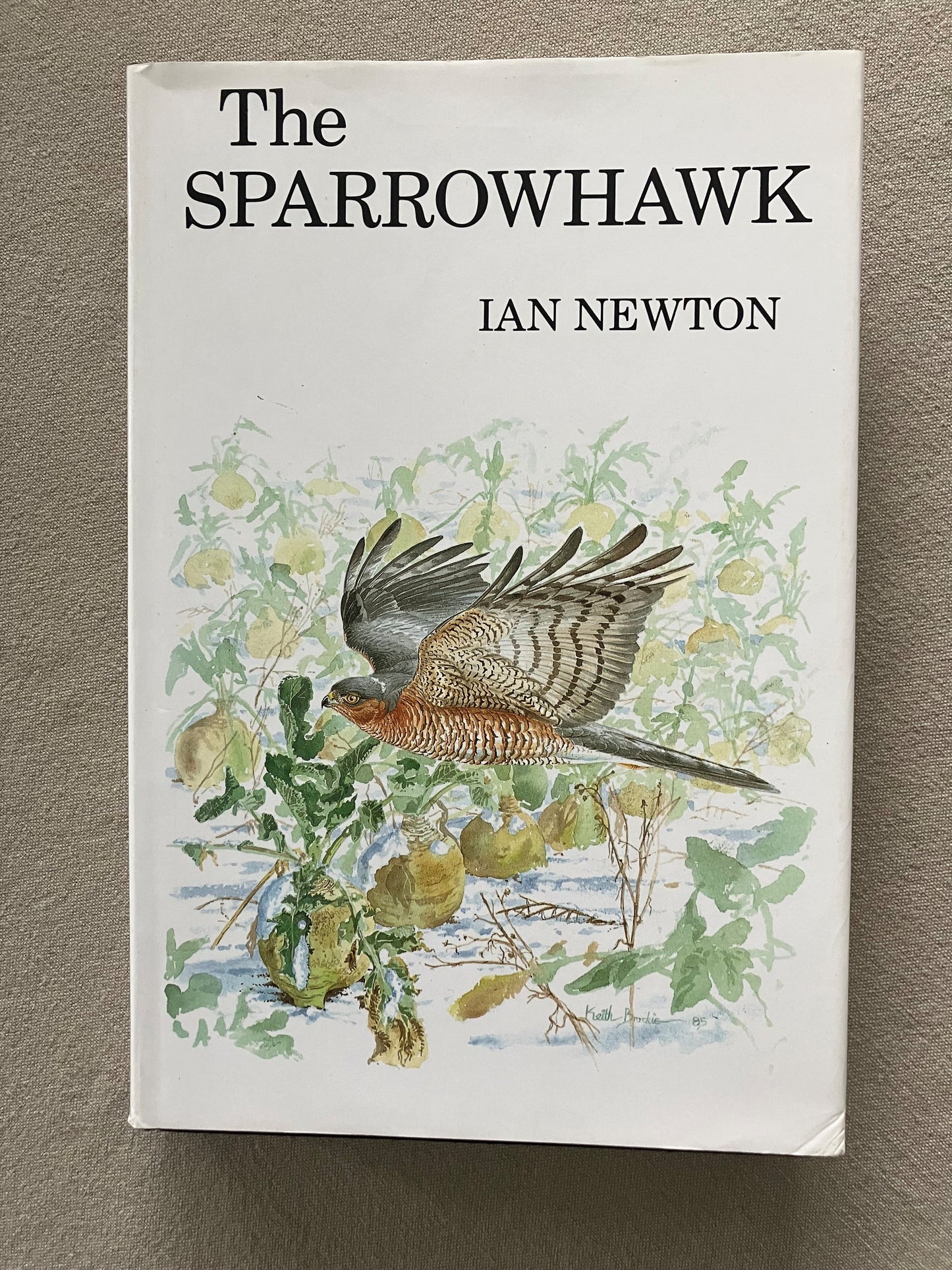 The Sparrowhawk