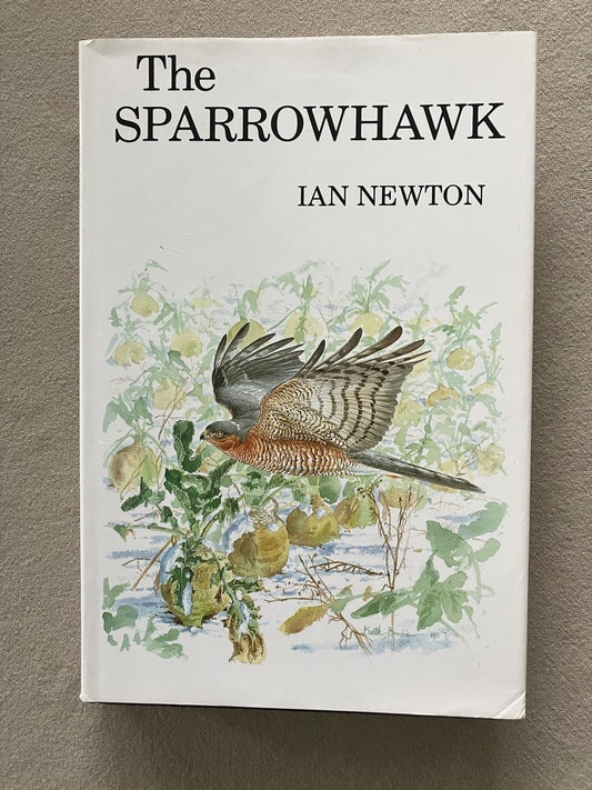 The Sparrowhawk