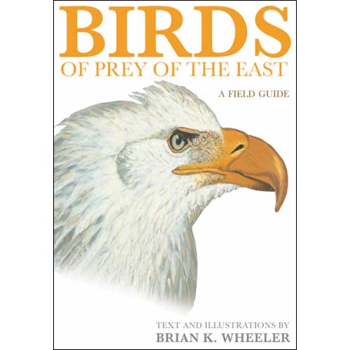 Birds of Prey of the East: A Field Guide cover