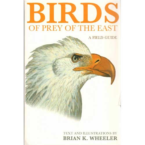 Book cover and/or sample page of Birds of Prey of the East: A Field Guide[Scratch and Dent]
