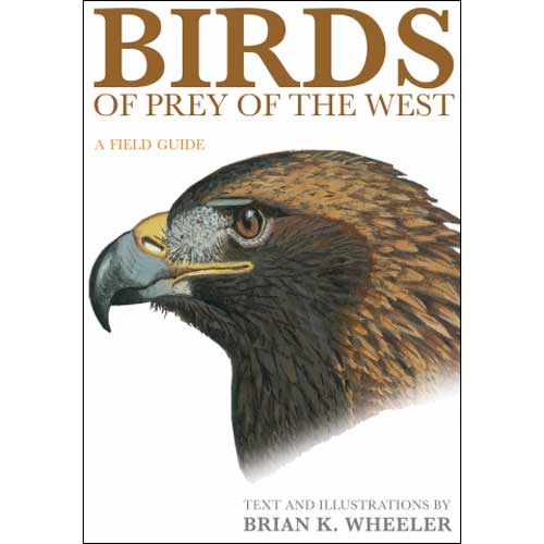 Birds of Prey of the West: A Field Guide cover