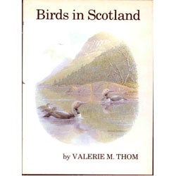 Birds in Scotland cover