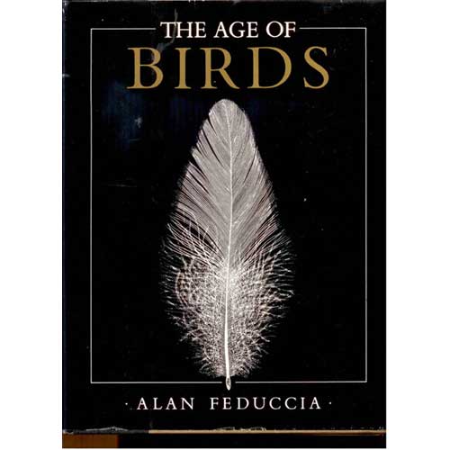Book cover and/or sample page of The Age of Birds