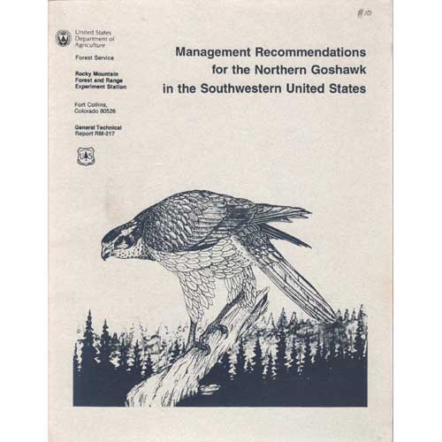 Book cover and/or sample page of Management Recommendations for the Northern Goshawk in the Southwestern United States