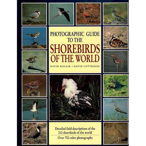 Book cover and/or sample page of Photographic Guide to the Shorebirds of the World