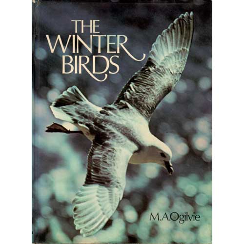 The Winter Birds cover