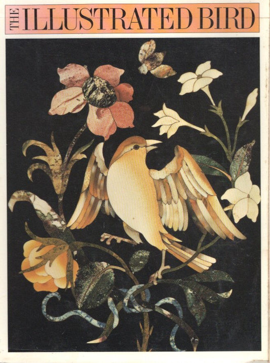 The Illustrated Bird