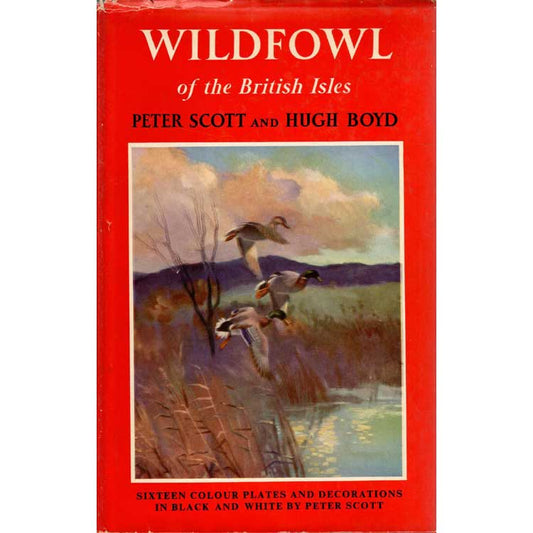 Book cover and/or sample page of Wildfowl of the British Isles