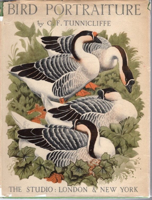 Book cover and/or sample page of Bird Portraiture