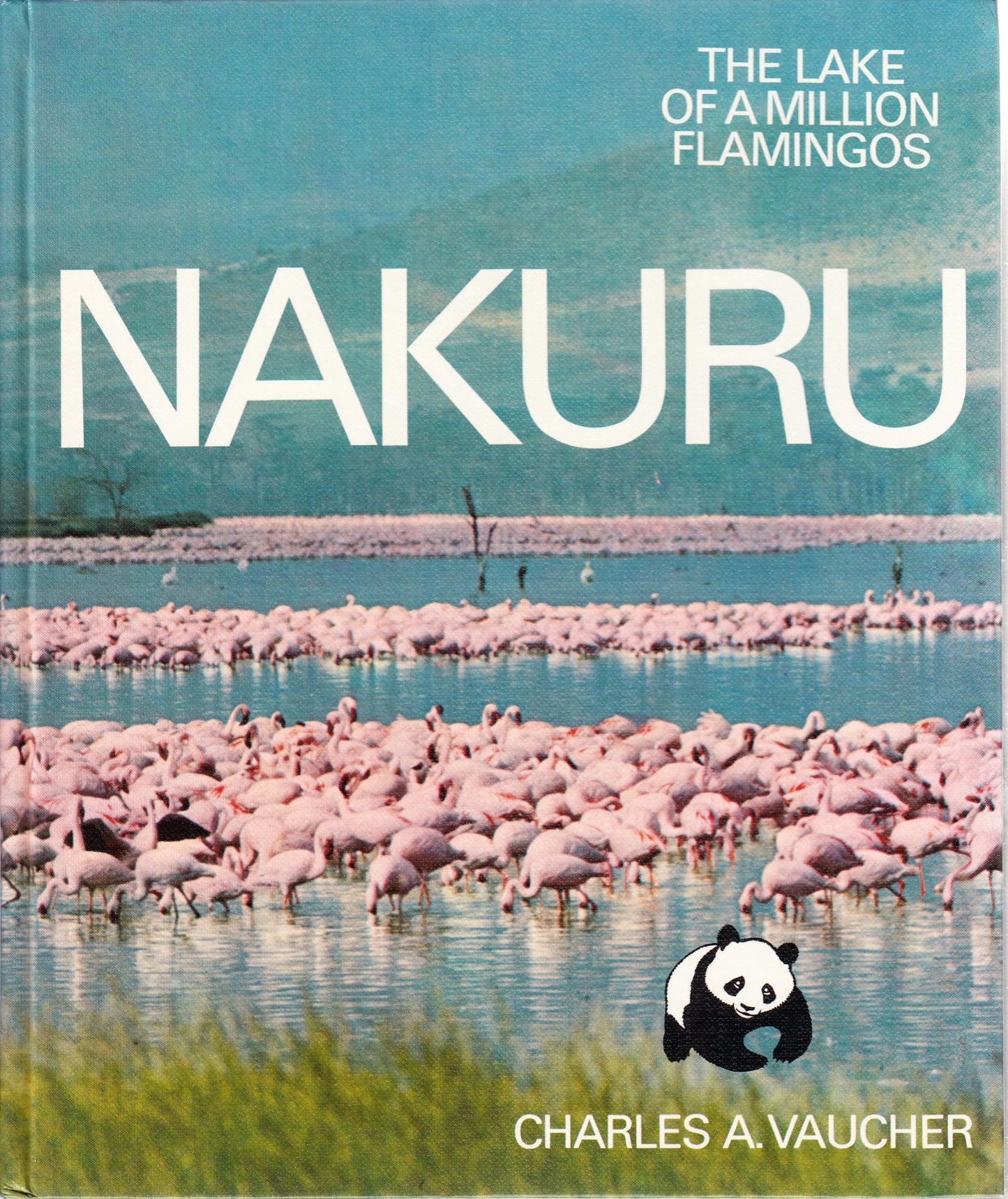 Nakuru: The Lake of a Million Flamingos