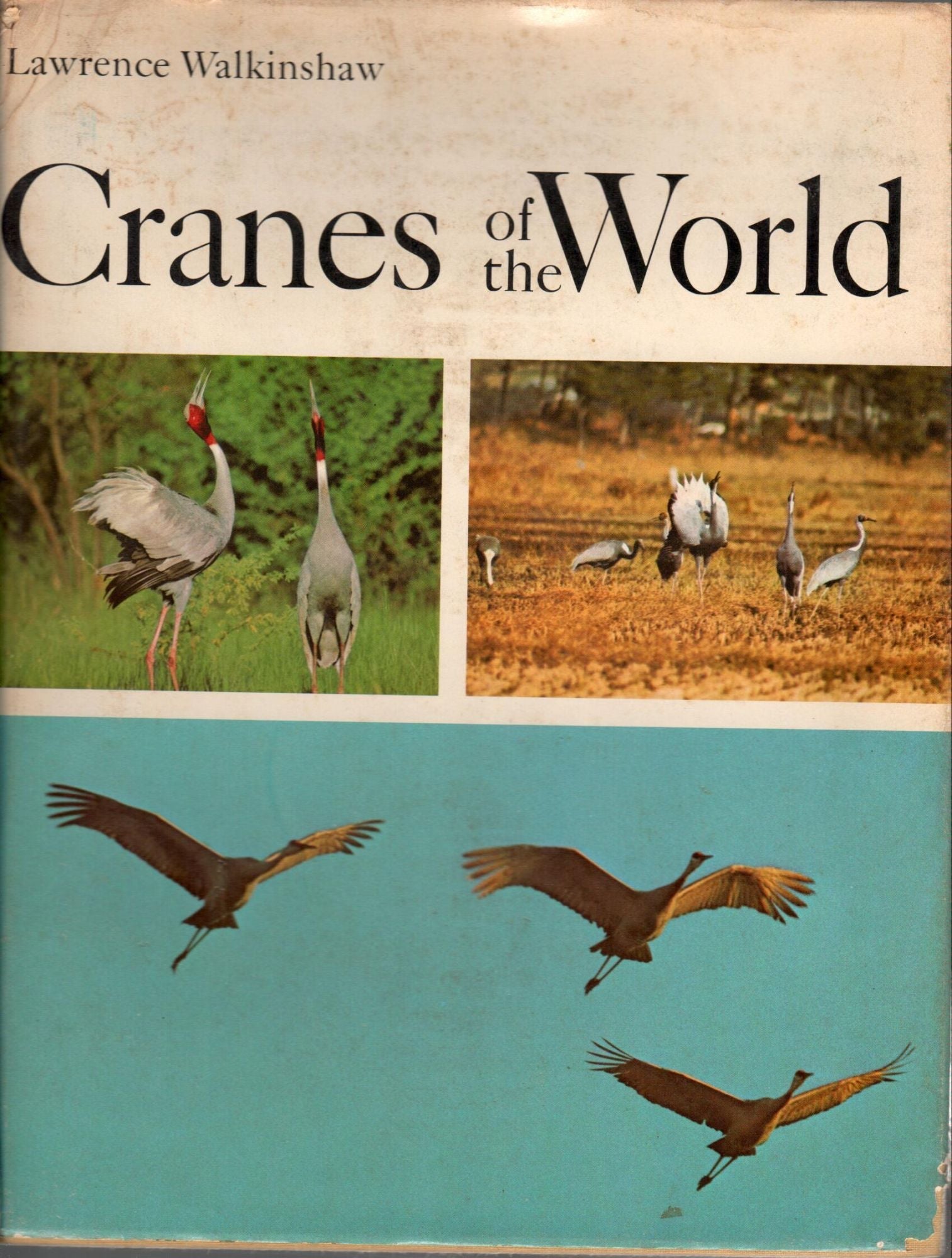 Cranes of the World cover