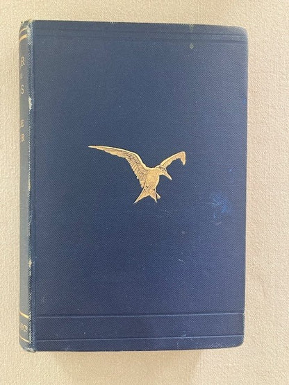 A Year with the Birds