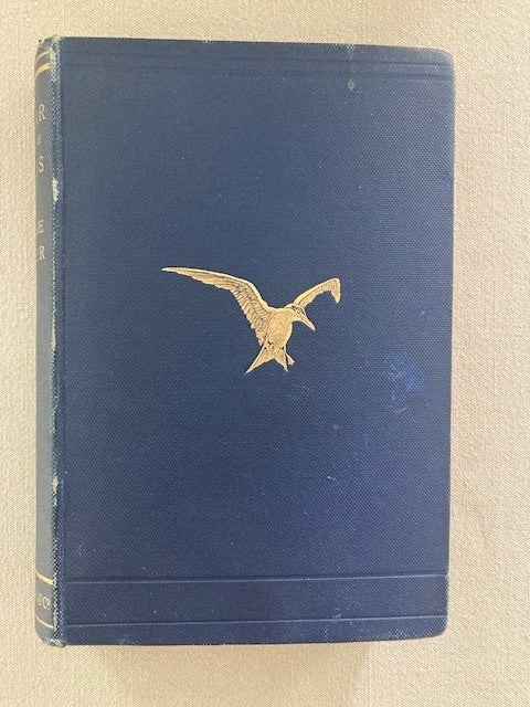 A Year with the Birds