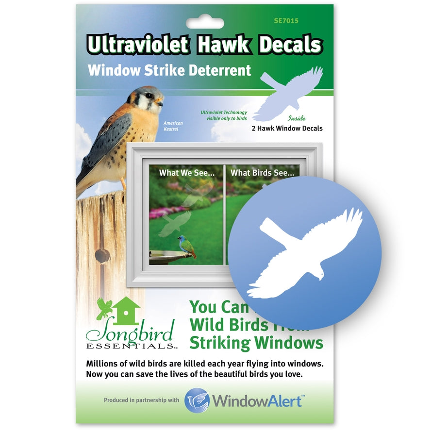 Window Decals