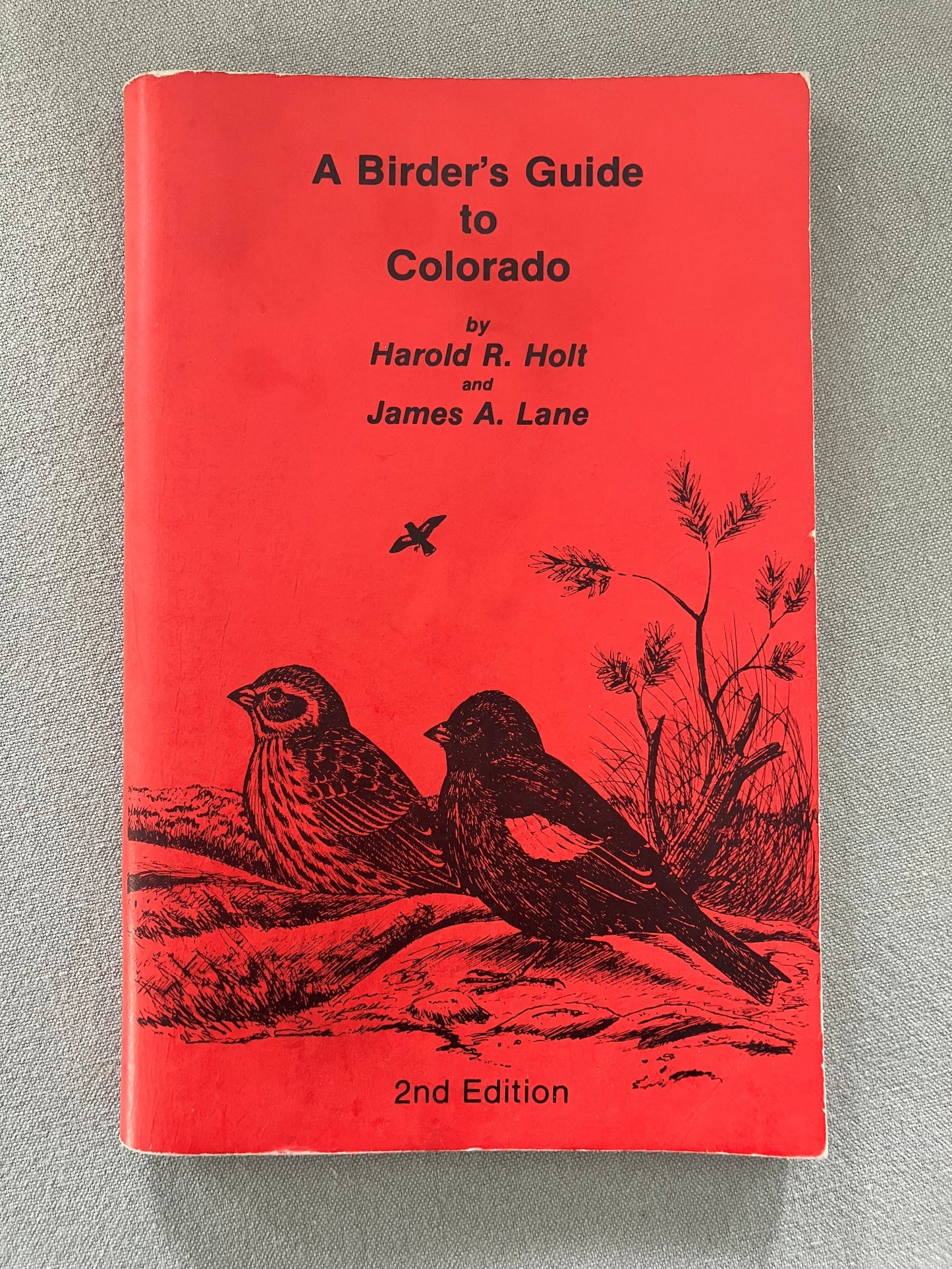 A Birder's Guide to Colorado