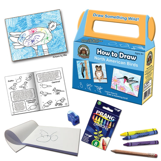 How to Draw North American Birds: Art Kit for Kids