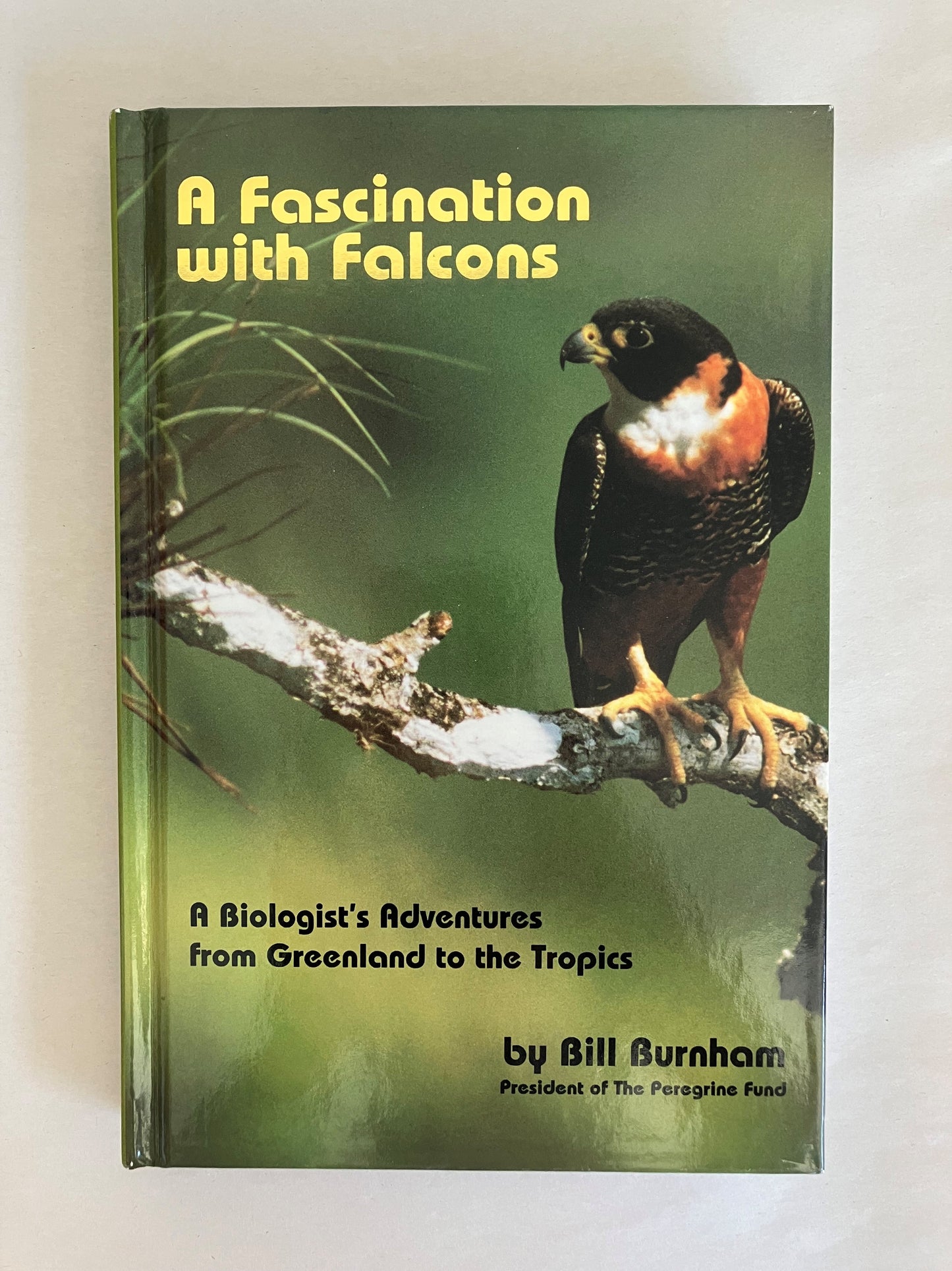 A Fascination with Falcons: A Biologist's Adventures from Greenland to the Tropics