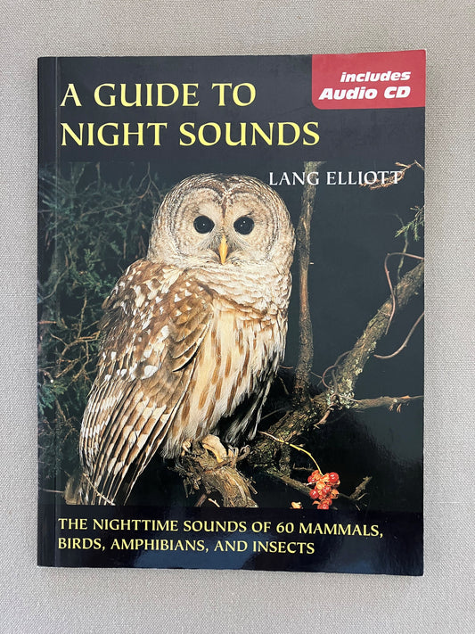 A Guide To Night Sounds