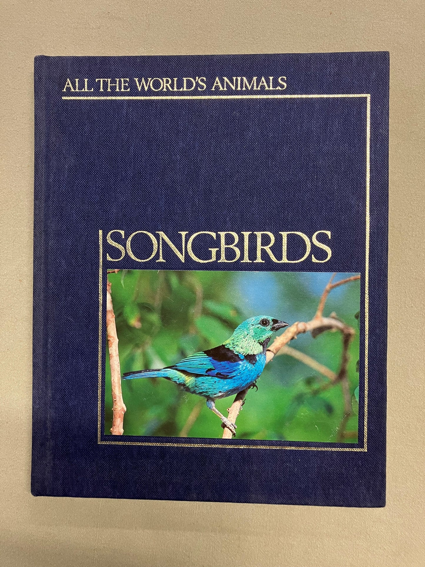 All the World's Animals: Songbirds