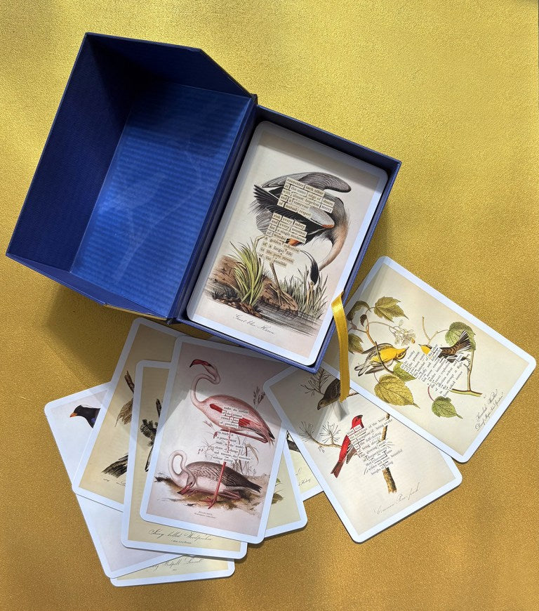 An Almanac of Birds: 100 Divinations for Uncertain Days