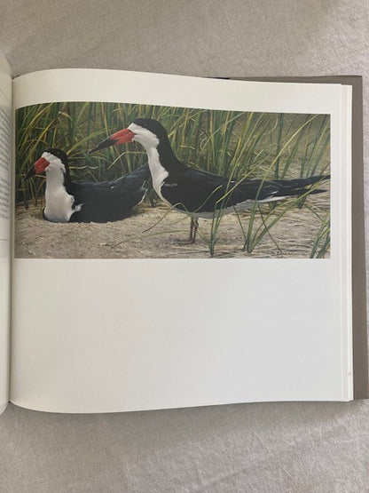 The Art of Robert Bateman