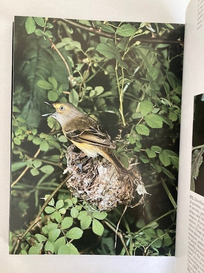 The Audubon Society Book of Wild Birds