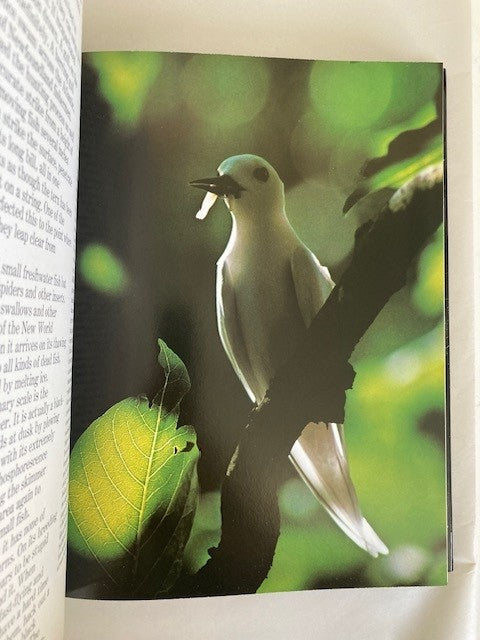 The Audubon Society Book of Wild Birds
