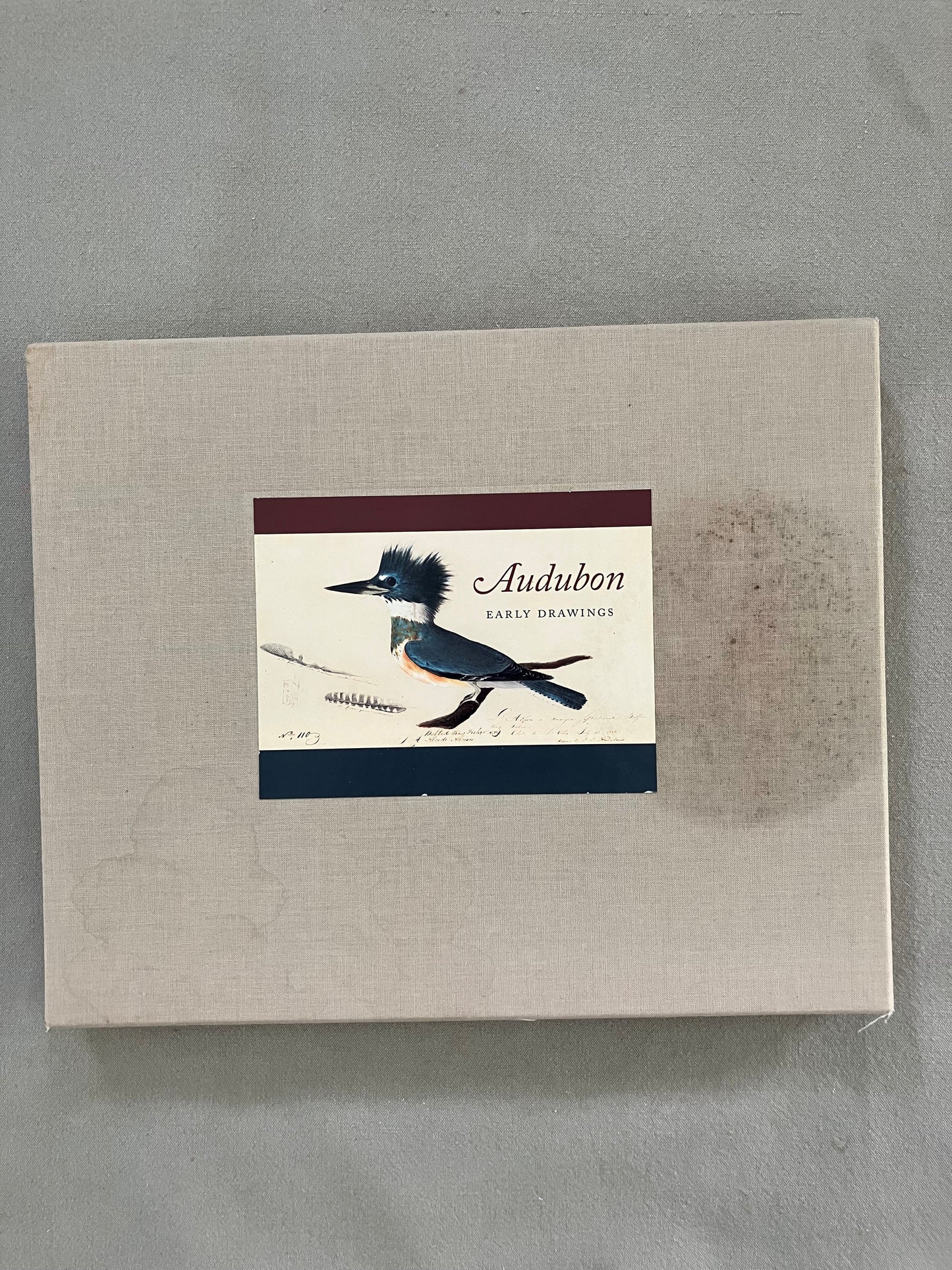 Audubon: Early Drawings