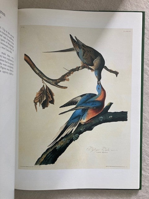 The Natural History Museum Library: Audubon's Birds