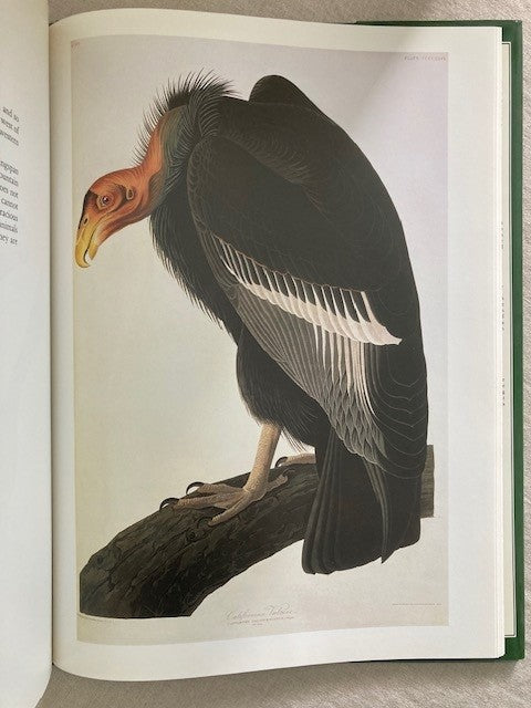 The Natural History Museum Library: Audubon's Birds