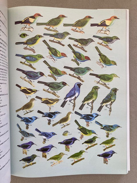 Aves do Brasil: Uma Visao Artística (Birds of Brazil: An Artistic View)