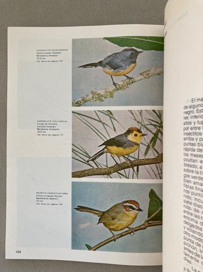 Aves de Costa Rica