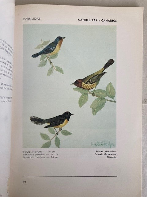 Aves Venezolanas: cien de las mas conocidas