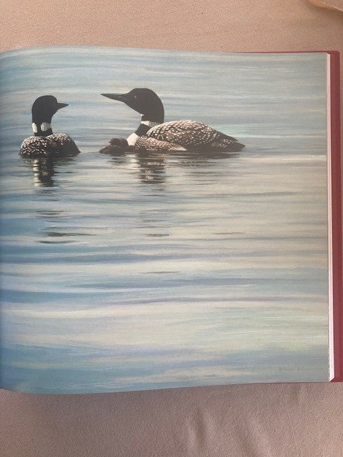 Deluxe Edition: An Artist in Nature and Natural Worlds