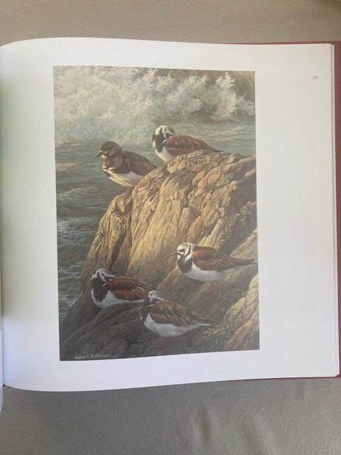 Deluxe Edition: An Artist in Nature and Natural Worlds