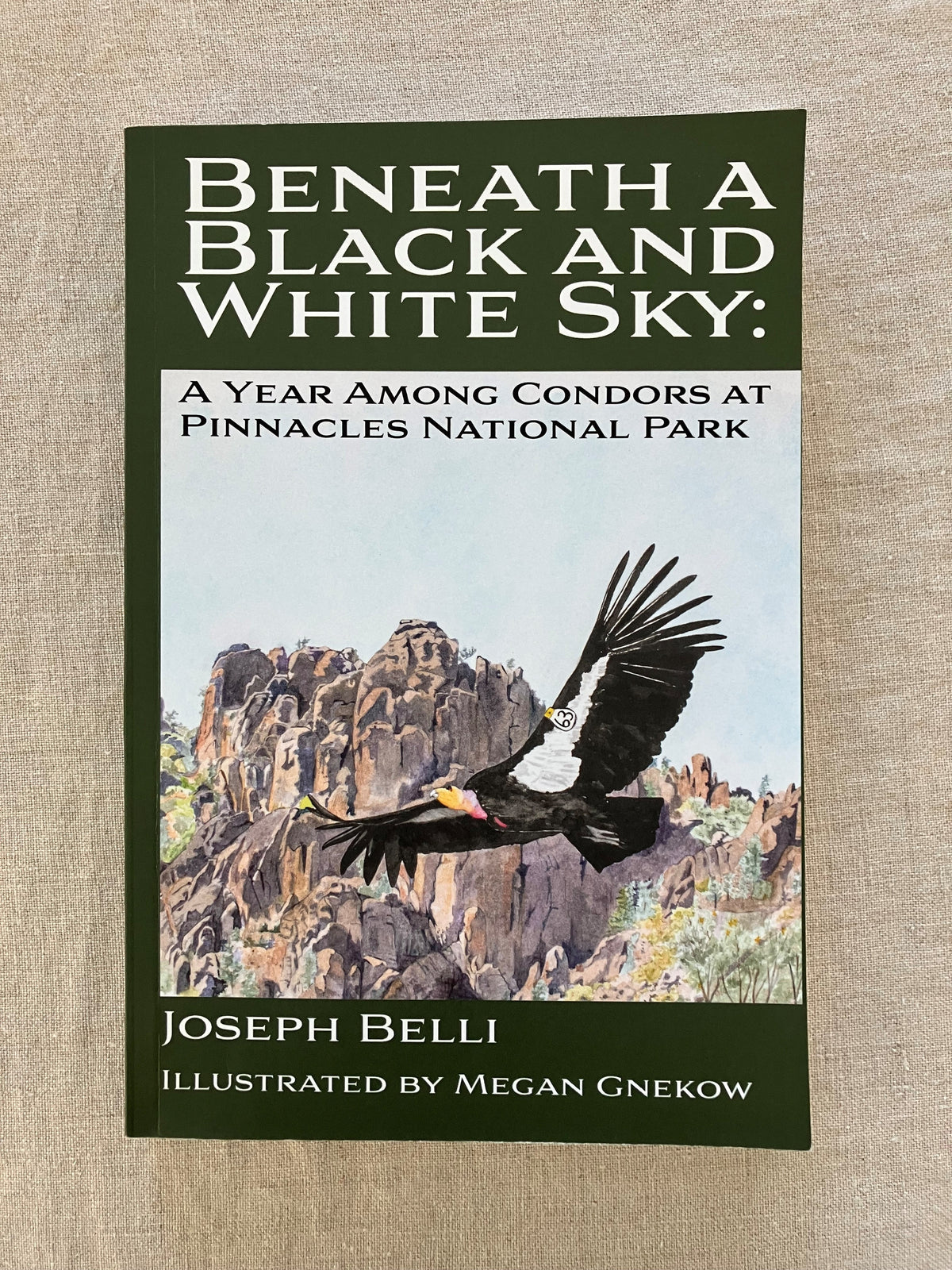 Beneath a Black and White Sky: A Year Among Condors at Pinnacles National Park