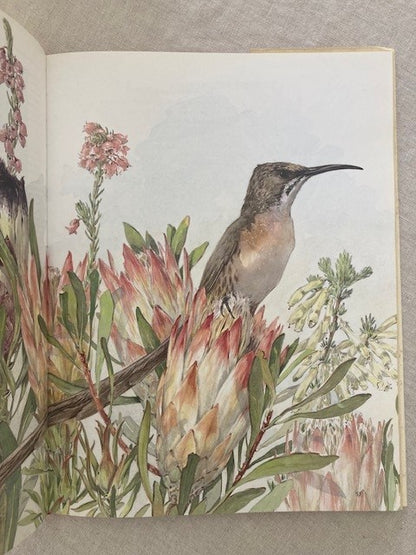 Between Two Shores: Flora and Fauna of the Cape of Good Hope
