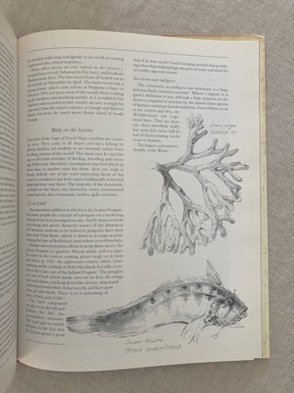 Between Two Shores: Flora and Fauna of the Cape of Good Hope
