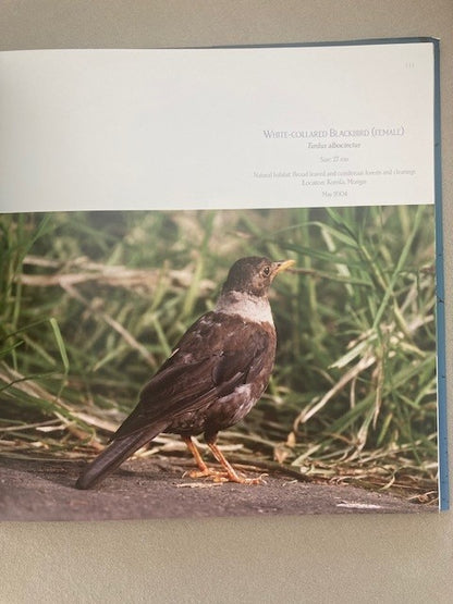 Bhutan Birds