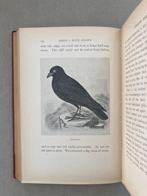 Birds I Have Known
