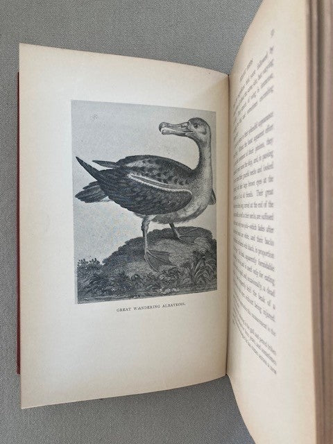 Birds I Have Known