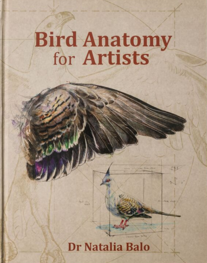 Bird Anatomy for Artists: Comprehensive Guide to Drawing Birds for Artists and Bird Lovers, Second edition