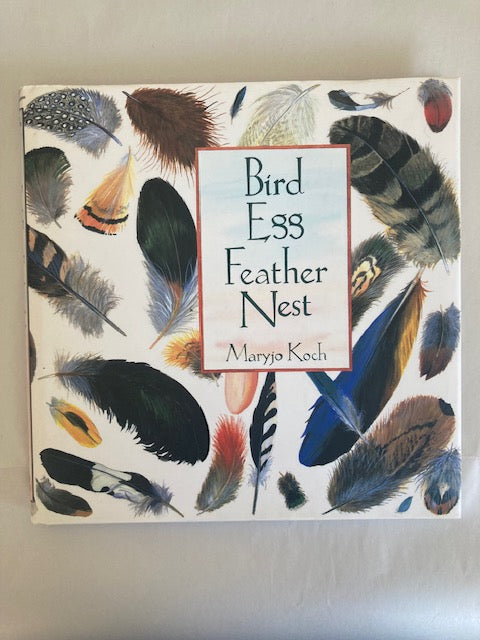 Bird Egg Feather Nest