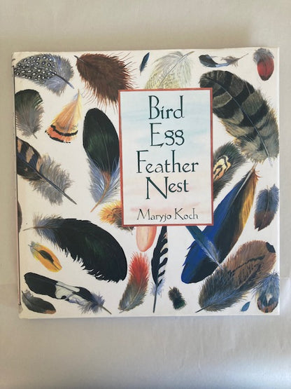 Bird Egg Feather Nest